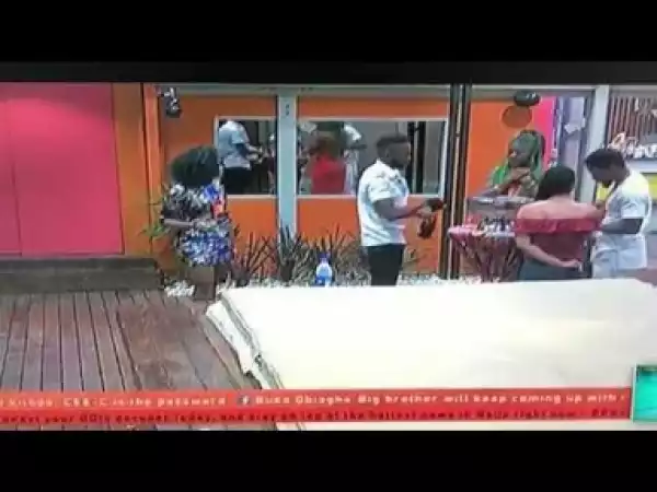 Video: BB Naija - Alex, Tobi, Miracle And Nina Suprised As Cee C Walks In Back Into The House